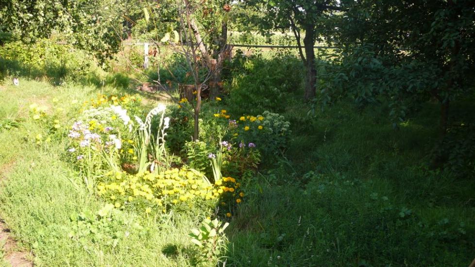 Великий Перевіз з panoramio.com - Великий Перевіз