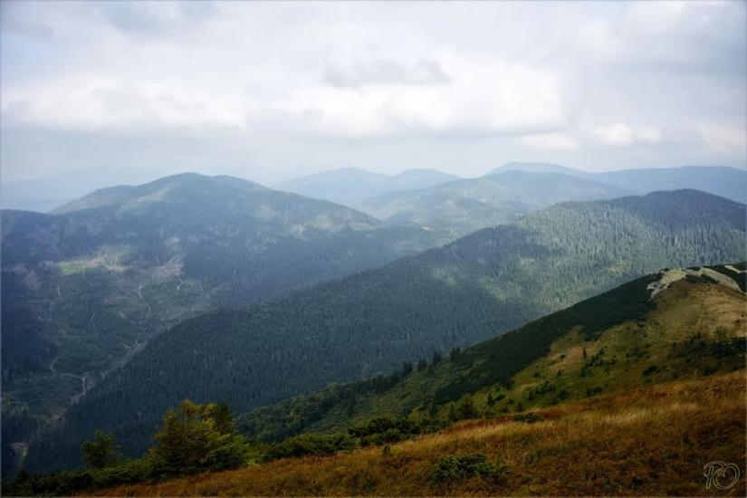 Береги з panoramio.com - Береги