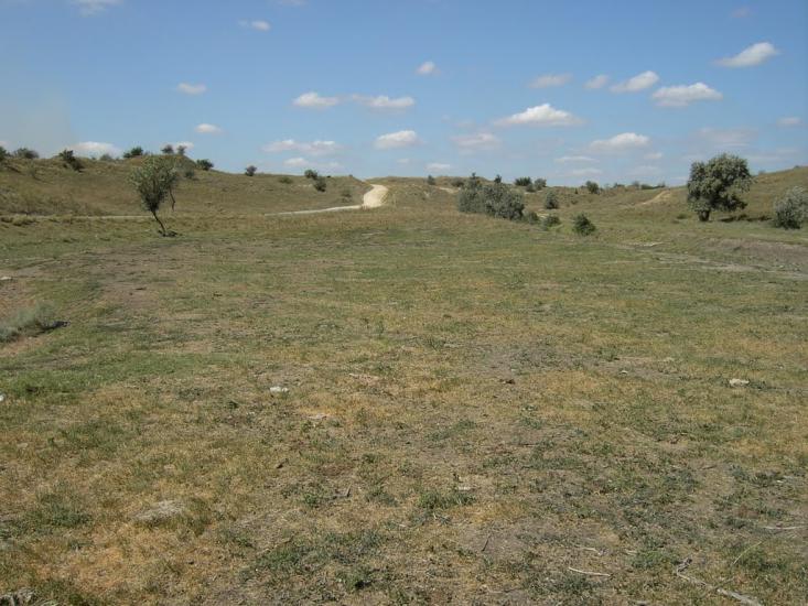 Новотимофіївка з panoramio.com - Новотимофіївка