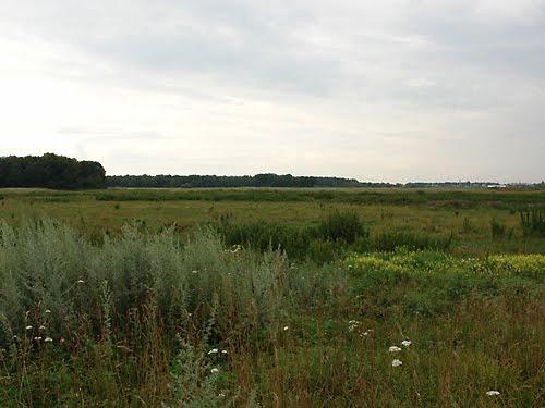 Волошинівка з panoramio.com - Волошинівка