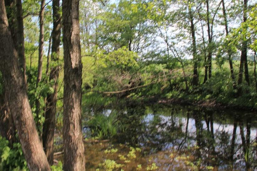 Шкурпели з panoramio.com - Шкурпелы