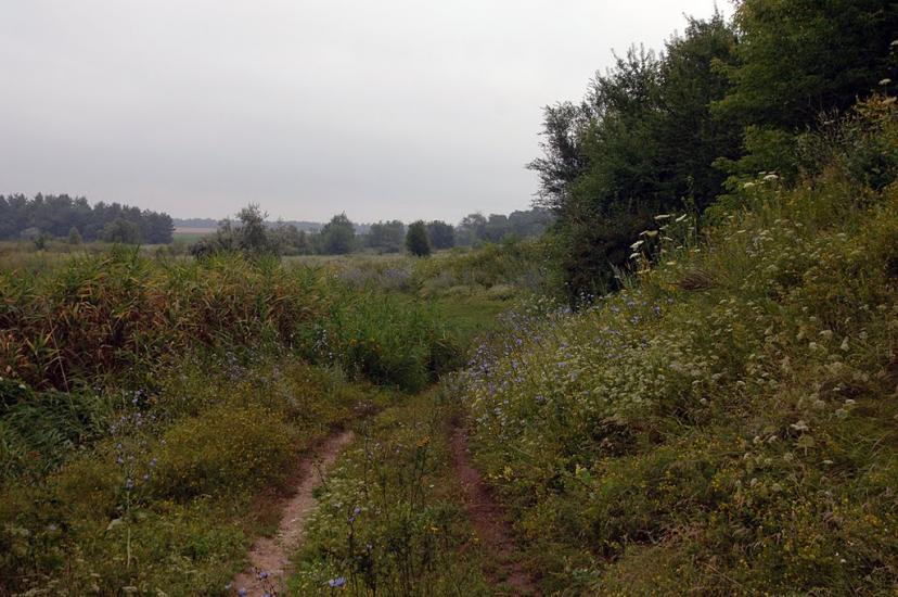 Іскра з panoramio.com - Іскра