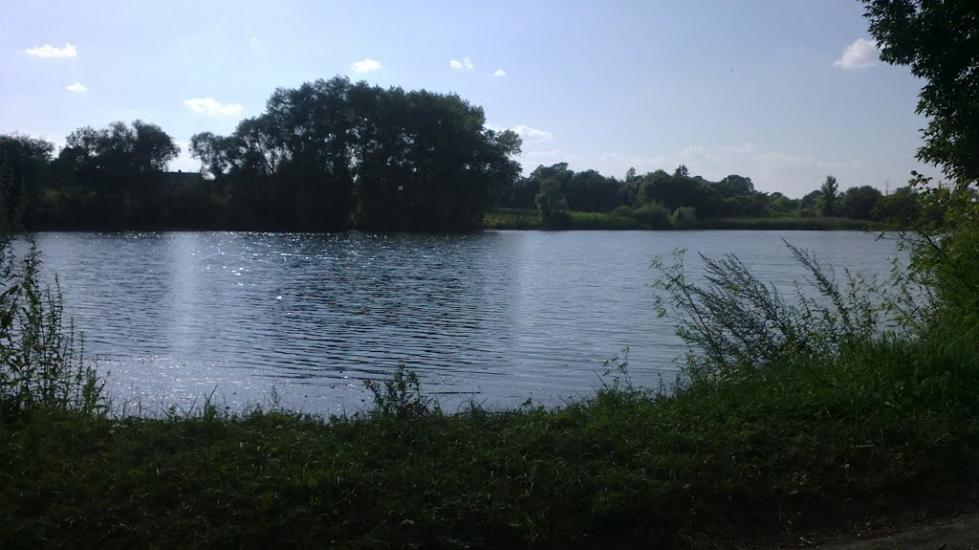 Куровечка з panoramio.com - Куровечка