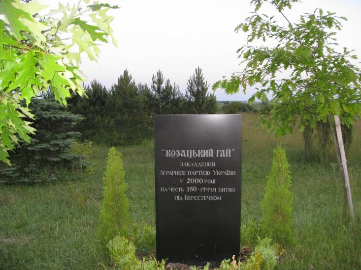 Пляшева з panoramio.com - Пляшева