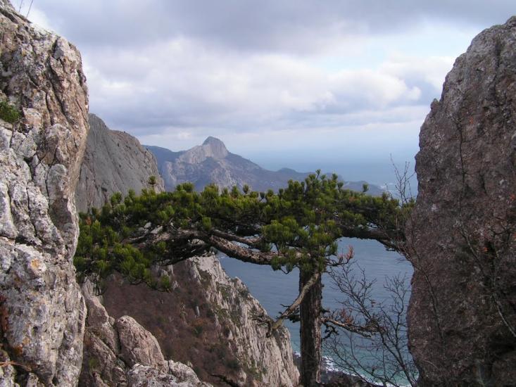 Гончарне з panoramio.com - Гончарное