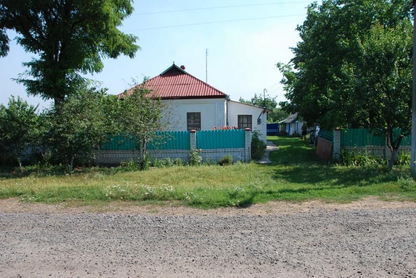 Нова Оржиця з panoramio.com - Новая Оржица