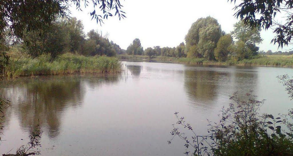 Розаліївка з panoramio.com - Розаліївка