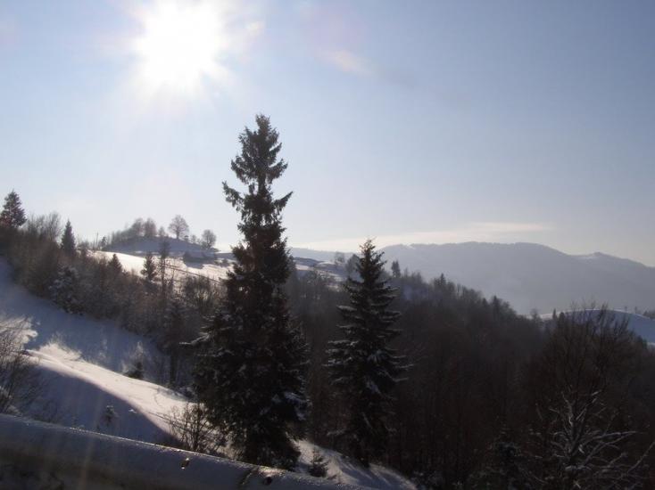 Стригальня з panoramio.com - Стригальняя