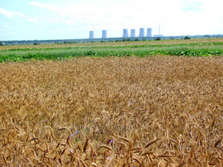 Бабка з panoramio.com - Бабка