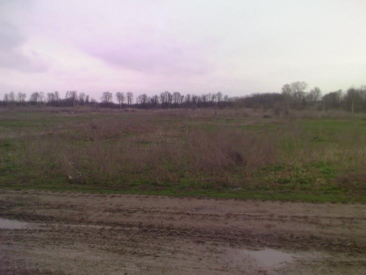 Великі Загайці з panoramio.com - Великі Загайці