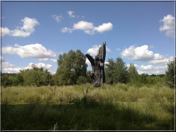 Студинка з panoramio.com - Студинка