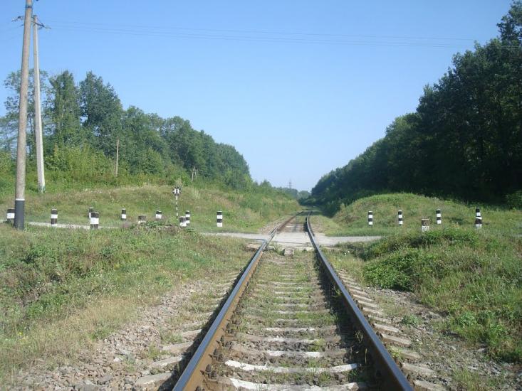 Панівці з panoramio.com - Panivtsi