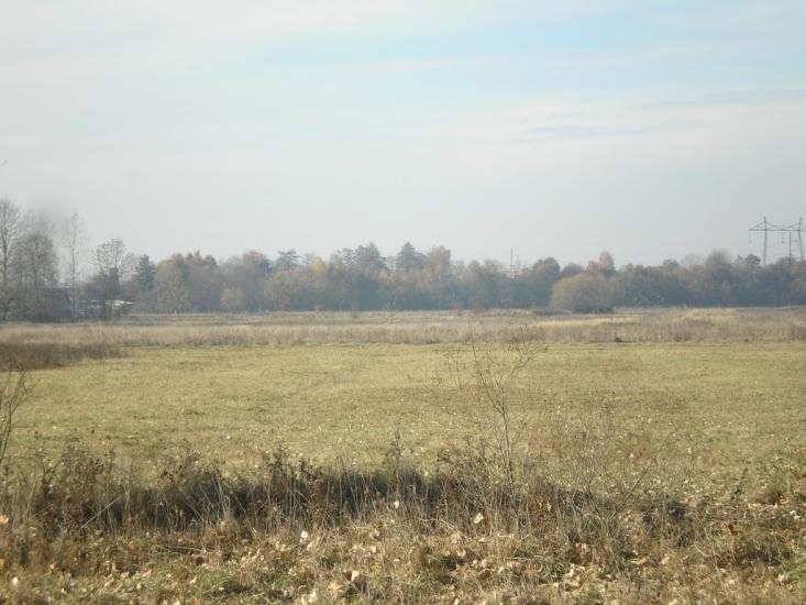 Негівці з panoramio.com - Негівці