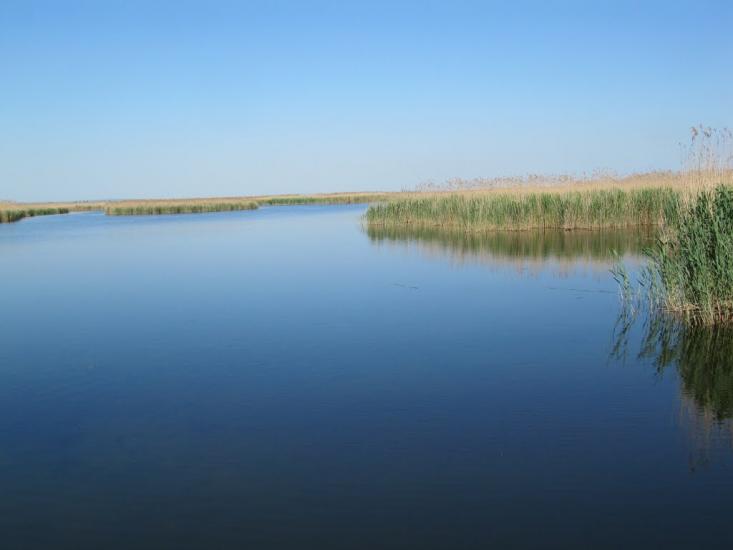 Градениці з panoramio.com - Градениці