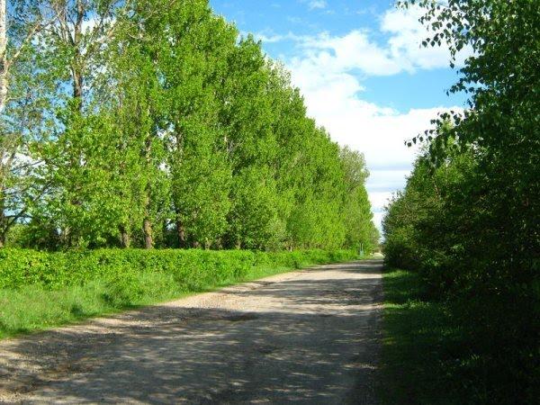 Баня-Березів з panoramio.com - Баня-Березов