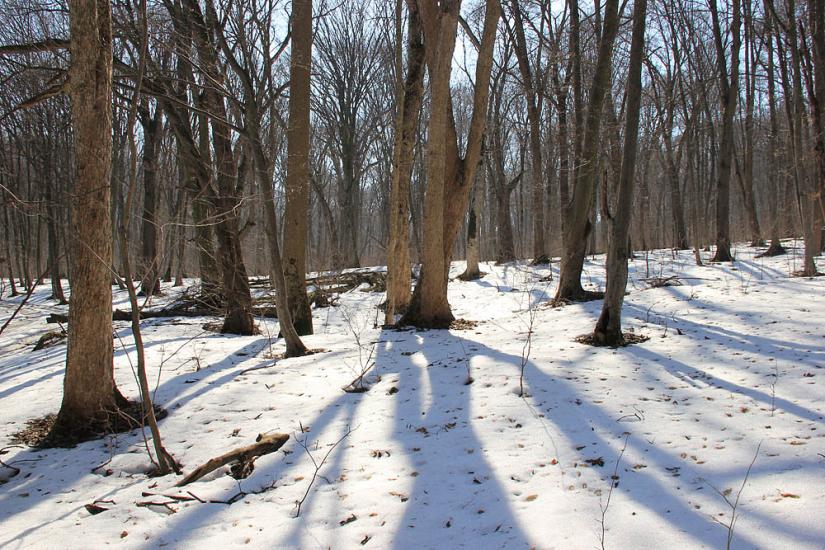 Кринцілів з panoramio.com - Кринцілів