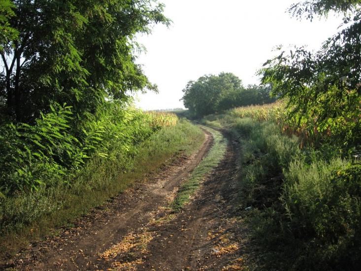 Зелений Гай з panoramio.com - Зелений Гай