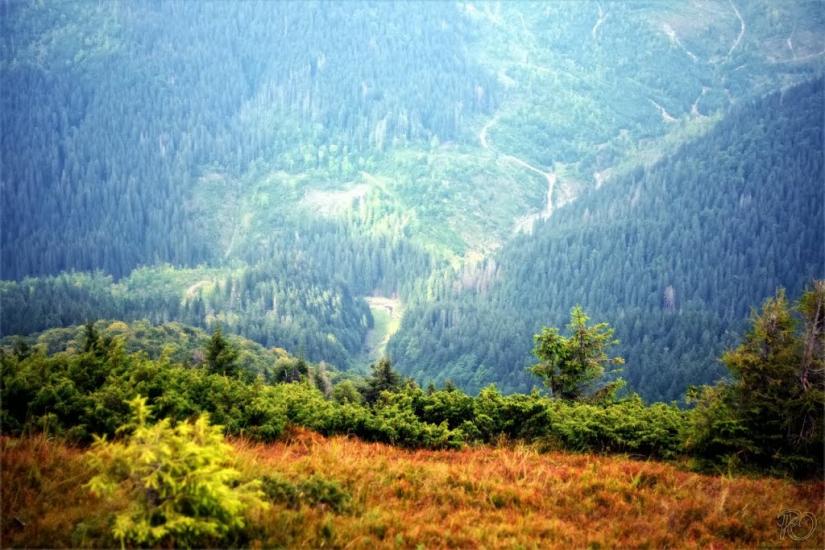 Береги з panoramio.com - Береги