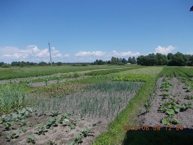 Ігнатпіль з panoramio.com - Игнатполь