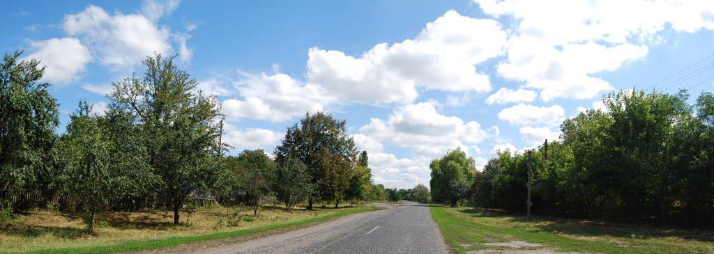 Приліпка з panoramio.com - Прилипка