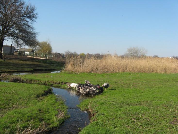 Губиниха з panoramio.com - Губиниха