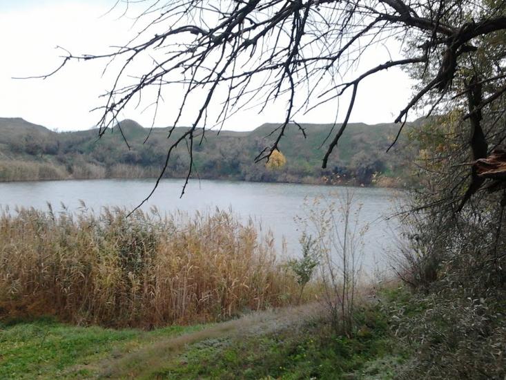 Чортомлик з panoramio.com - Чертомлык