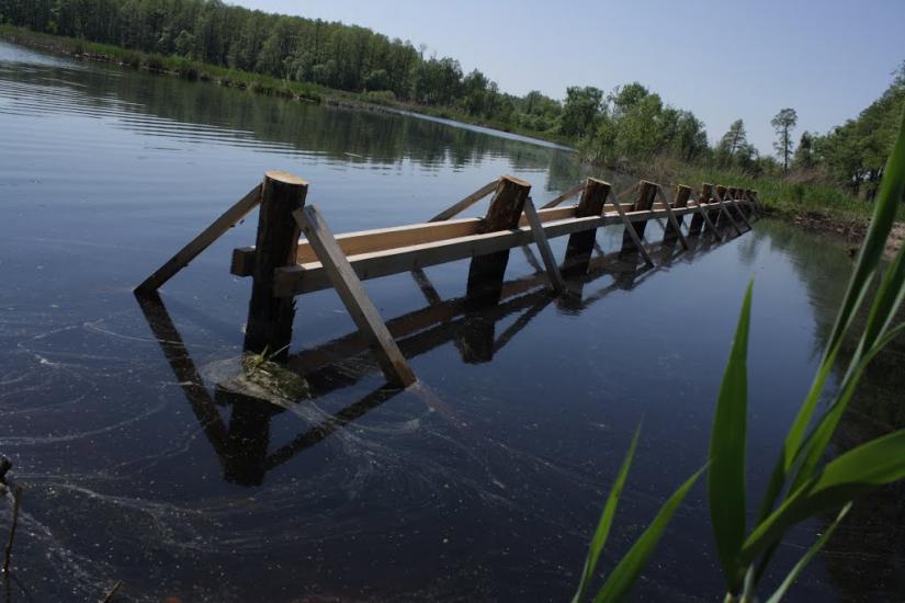 Корюківка з panoramio.com - Корюковка