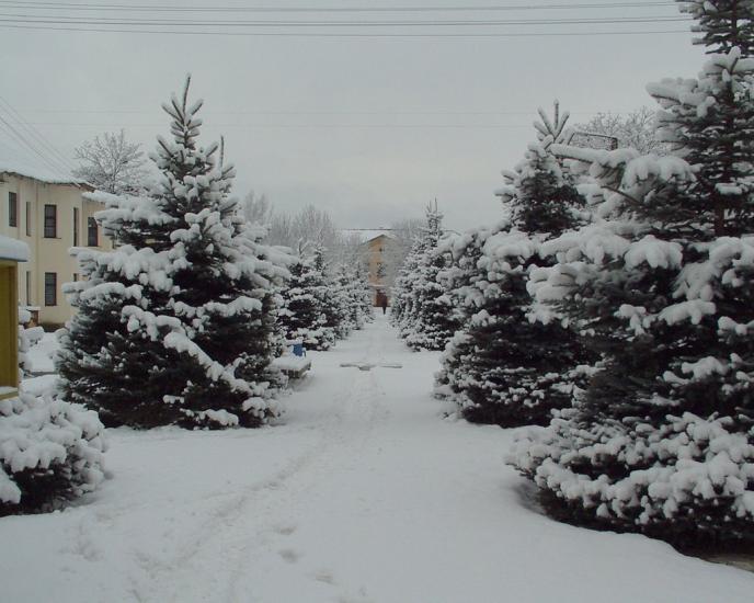 Добротвір з panoramio.com - Добротвір
