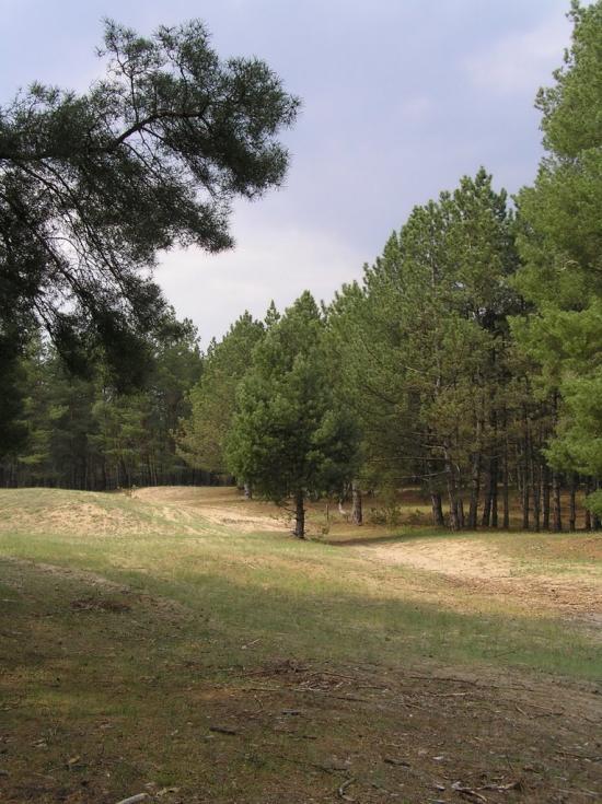Кринки з panoramio.com - Кринки