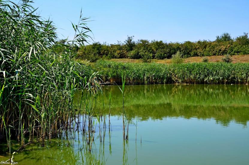 Комінтернівське з panoramio.com - Kominternivske