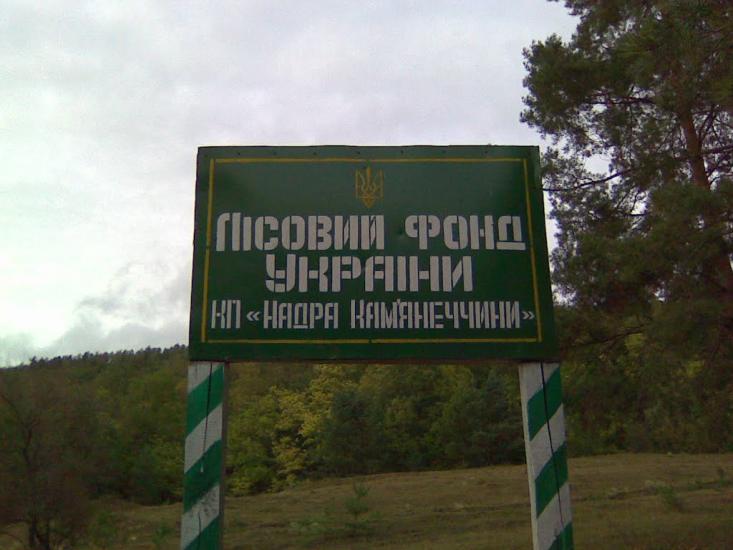 Грушка з panoramio.com - Грушка