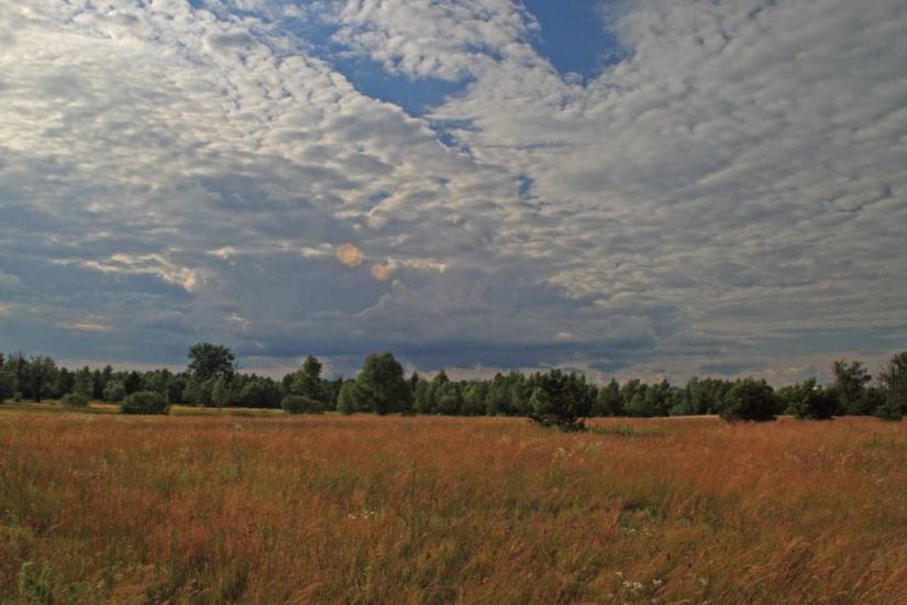 Жукин з panoramio.com - Zhukyn