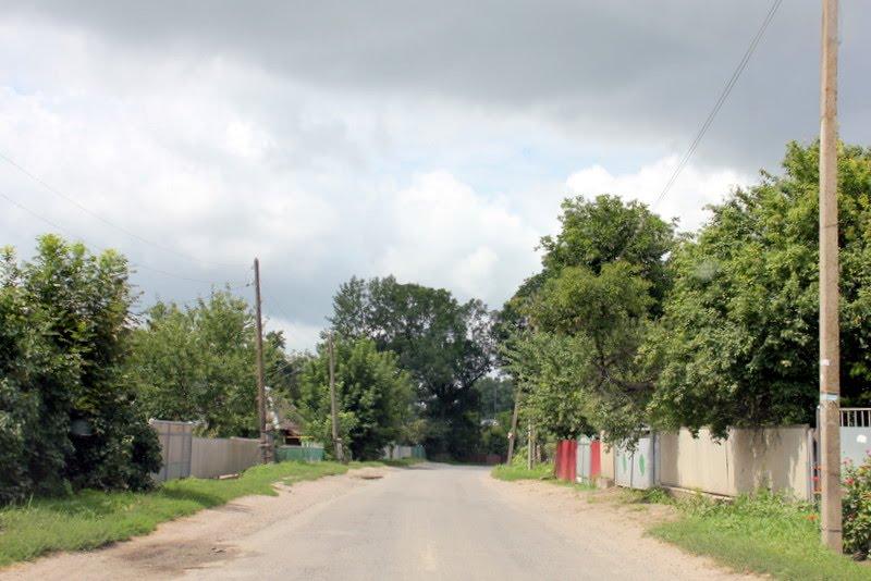 Браїлів з panoramio.com - Brayiliv