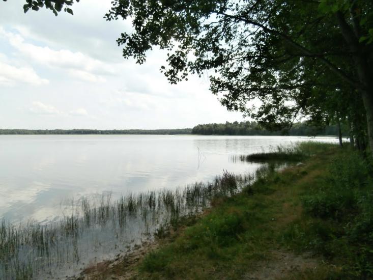 Ниговищі з panoramio.com - Ниговищі