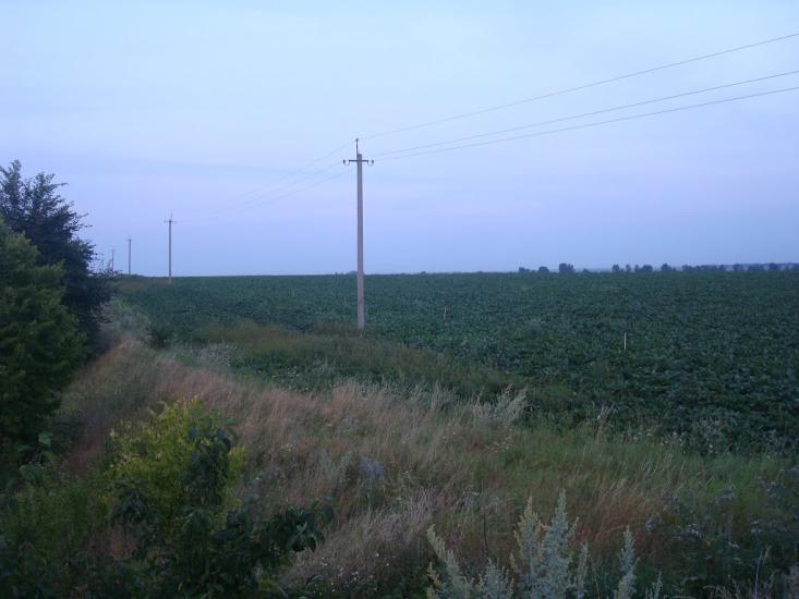 Копачівка з panoramio.com - Копачевка