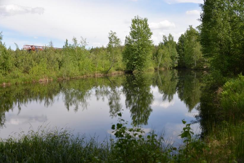 Корюківка з panoramio.com - Корюківка