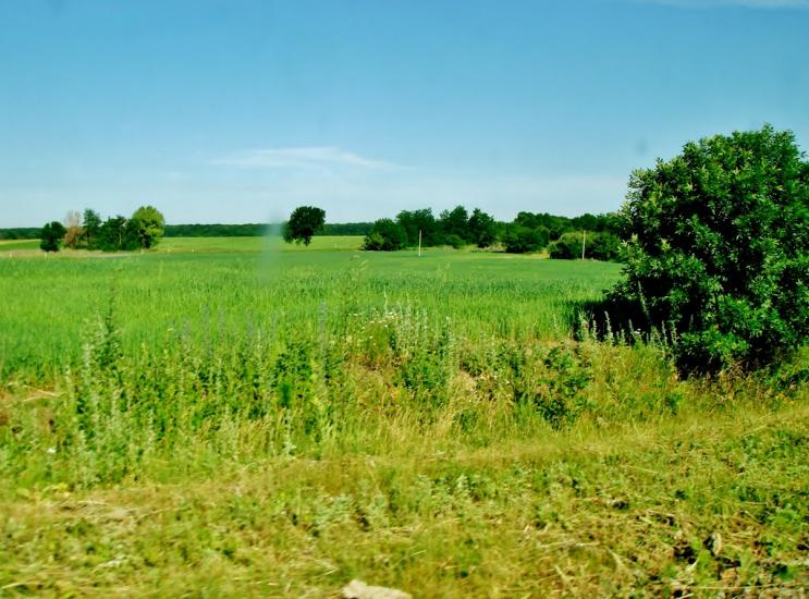 Козацьке з panoramio.com - Казацкое