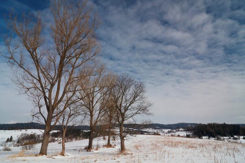 Шандровець з panoramio.com - Shandrovets
