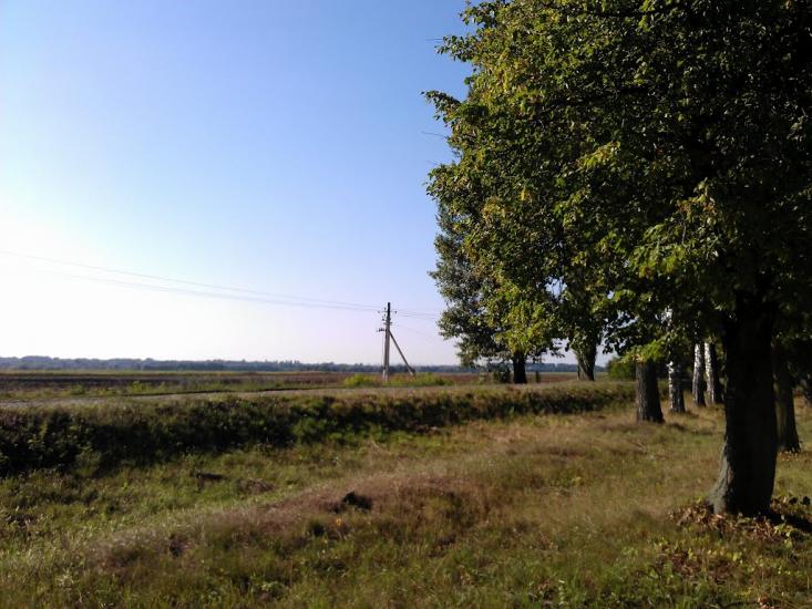 Великі Крушлинці з panoramio.com - Velyki Krushlyntsi