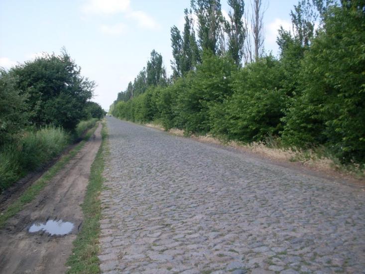Степашки з panoramio.com - Степашки
