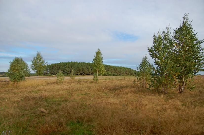 Велика Ведмежка з panoramio.com - Великая Ведмежка