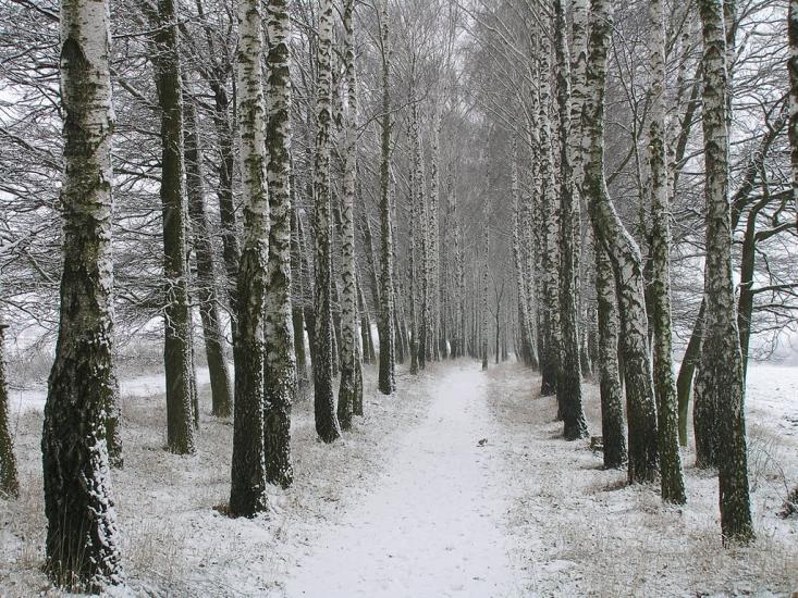 Чуднів з panoramio.com - Чуднів