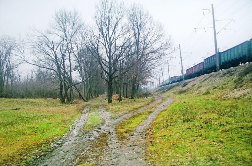 Созонівка з panoramio.com - Созонівка