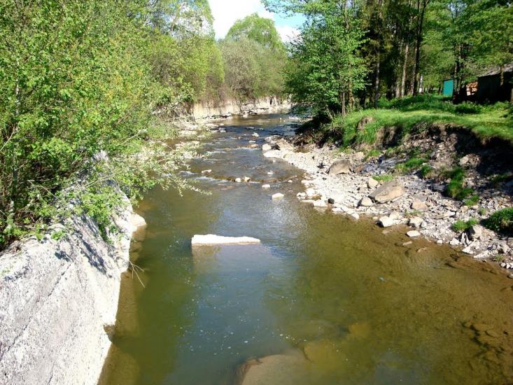 Люта з panoramio.com - Люта