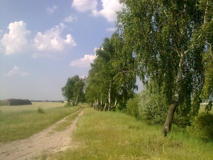 Поляни з panoramio.com - Поляны
