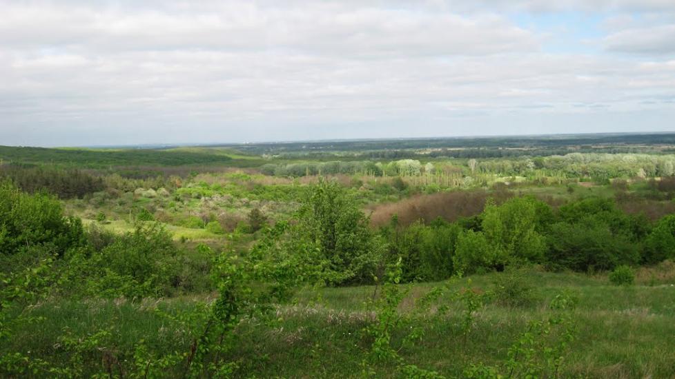 Журавне з panoramio.com - Журавне