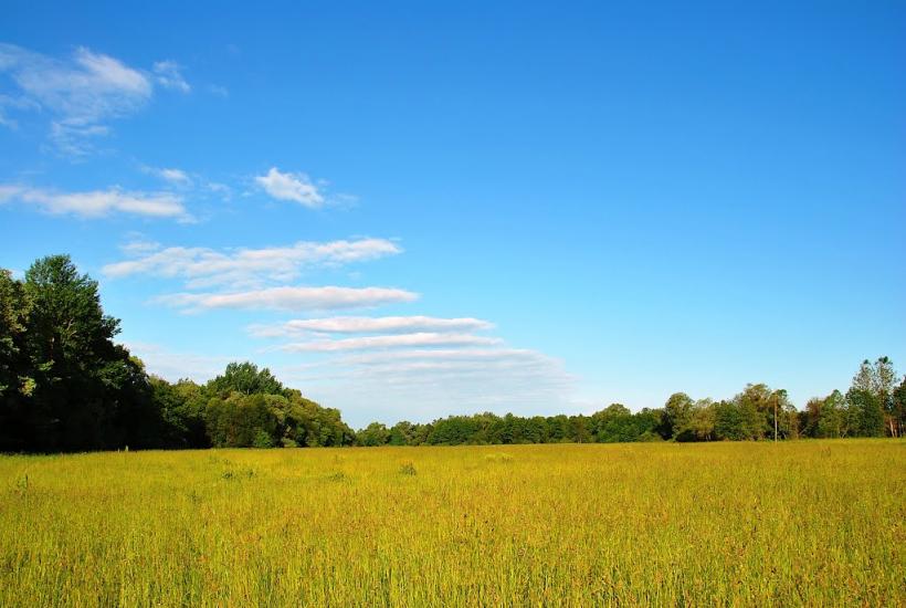 Адамчуки з panoramio.com - Адамчуки