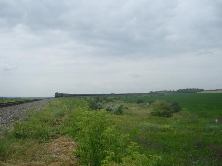 Вербка з panoramio.com - Вербка