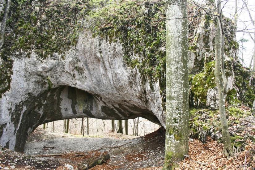 Кічерели з panoramio.com - Kicherely