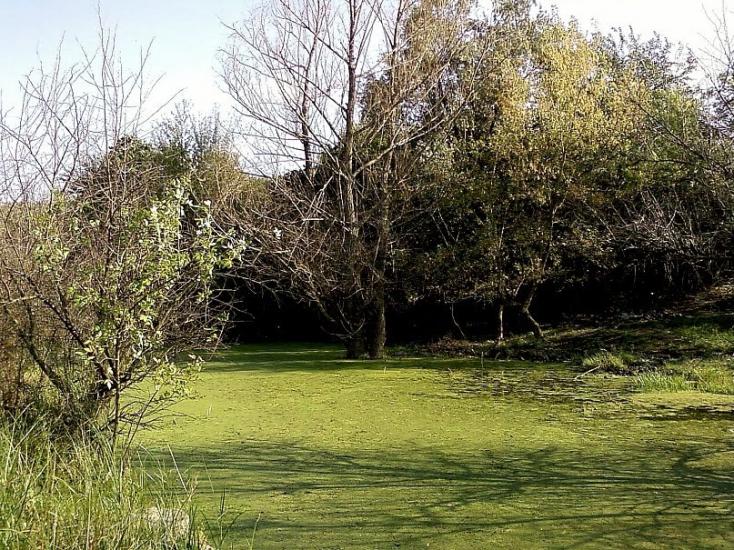 Високогірне з panoramio.com - Високогірне